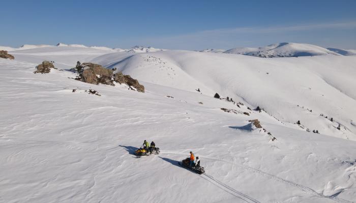 Snowmobile rides