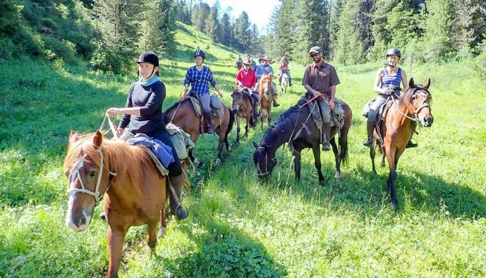 Horseback riding tours in Katon-Karagai