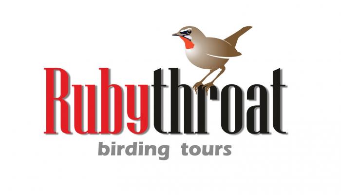 Rubythroat Birding Tours