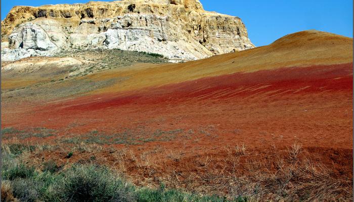 Ashutas Clay Hills