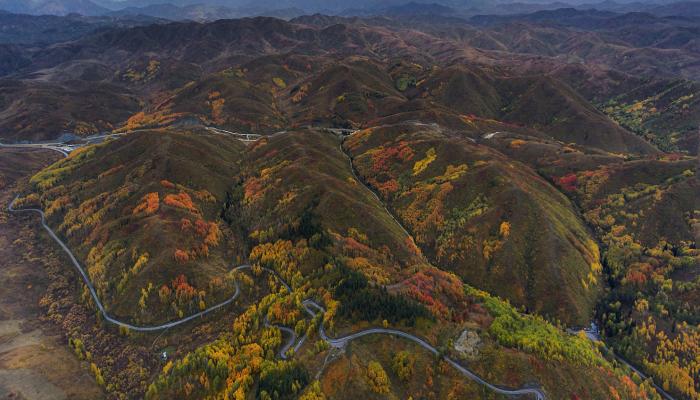 Osinovsky Pass