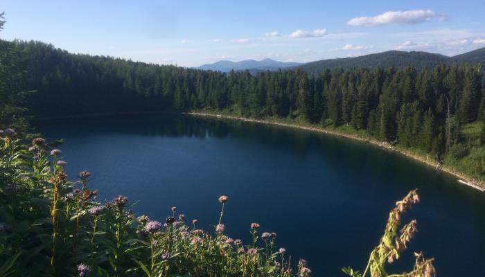 Shcherbakov Lake