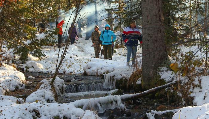 Taiga walk